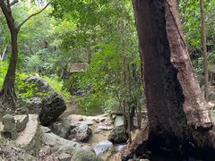 -七仙岭温泉国家森林公园