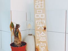 -阿狗圆子