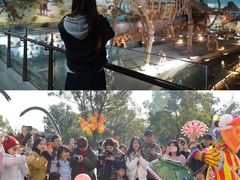 -中国西峡恐龙遗迹园