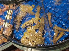 -金悦轩海鲜酒家(拱北店)