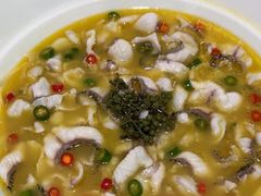 -青花椒花椒鱼(合生汇店)