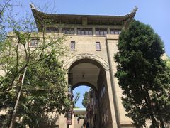 -武汉大学-樱园
