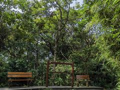 -香港大学