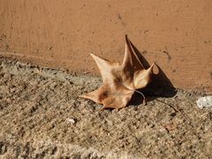 -苏州文庙(姑苏区)