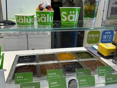 -Salud撒露欧洲冻酸奶(蓝色港湾店)
