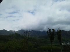 -王顺山国家森林公园