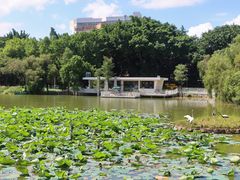 -人民公园(罗湖区)