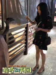 -酷嗒动物文化乐园(cutezoo西溪乐天城店)