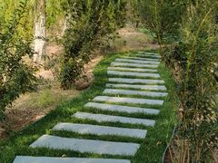 -永定河休闲森林公园