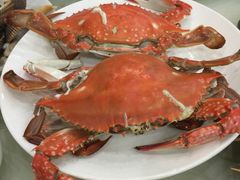 乾毓德平价海鲜火锅城-天津乾毓德饭庄·清真传统炒菜·海鲜烧烤(咸阳路店)