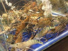 -蚝得喜海鲜(东城店)