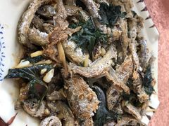 -幽优农庄·森波拉特色本地农家菜