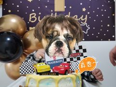 -LuluCake·路鹿蛋糕