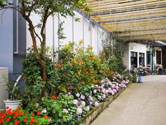 -凤来栖·净庭院·火锅(欧尚店)