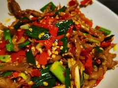 -壹盏灯(惠农店)
