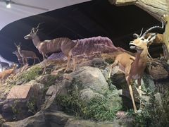 -陕西自然博物馆