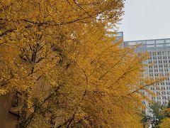 -辽宁大学(崇山校区)