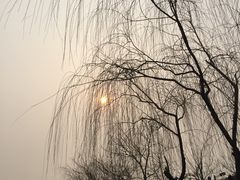 -清明上河园-迎宾门售票处