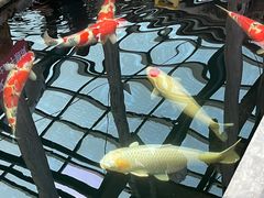 -观唐（国际）度假村温泉