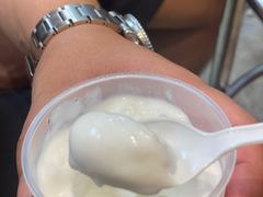 -洪馨椰子
