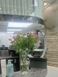 -苏奇发型·烫发染发