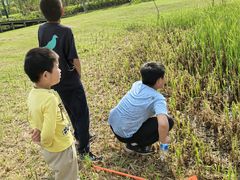 -春花秋色城市公园