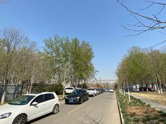 -东郊湿地公园