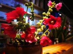 店内环境-今日陶艺(富力广场店)