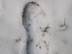 -武陵山森林公园