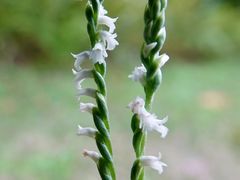 -福田红树林生态公园