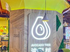 -油梨树AVOCADO TREE(嘉里中心店)
