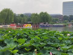 -西海子公园
