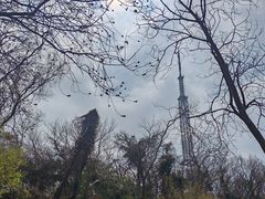 -大蜀山国家森林公园