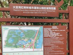 -大亚湾红树林城市湿地公园