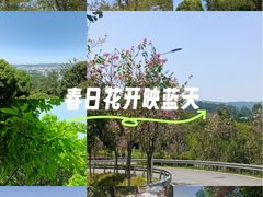 -火炉山森林公园