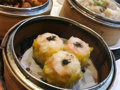 -糖朝(尖沙咀店)