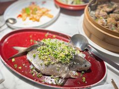 -钟菜·粤菜点心·宴请(海上世界·汇港二期店)