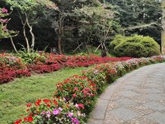 -庐山风景区花径公园