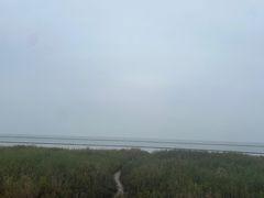 -合肥滨湖国家森林公园