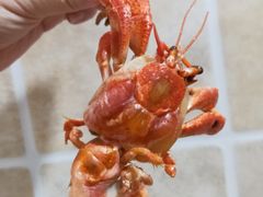 -大连熟食品交易中心