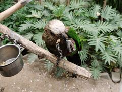 -南宫五洲植物乐园