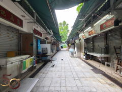 -园圃街雀鸟花园