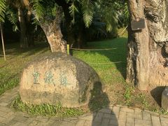 -深圳仙湖植物园