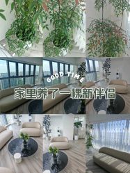 -HEYAN荷妍专业脱毛连锁机构