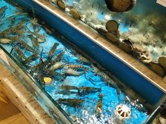 水产区-福娣·金沙银贝海鲜火锅