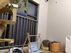 -唐小姐の私宠·宠物洗护美容·撸猫馆·购宠(周浦万达旗舰店)