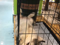 -龟与熊猫宠物公园(南坪店)