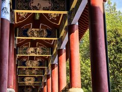 -素山寺森林公园