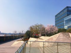 -星巴克(成都科学城店)