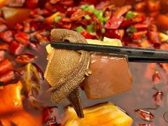 -院8里·少城记忆老川菜(宽窄巷子店)